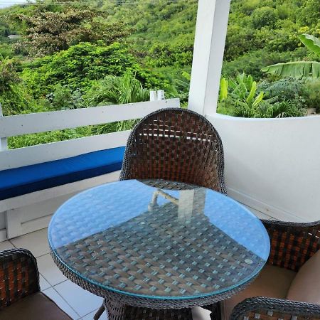 Halcyon Heights Condominium Dickenson Bay Dış mekan fotoğraf