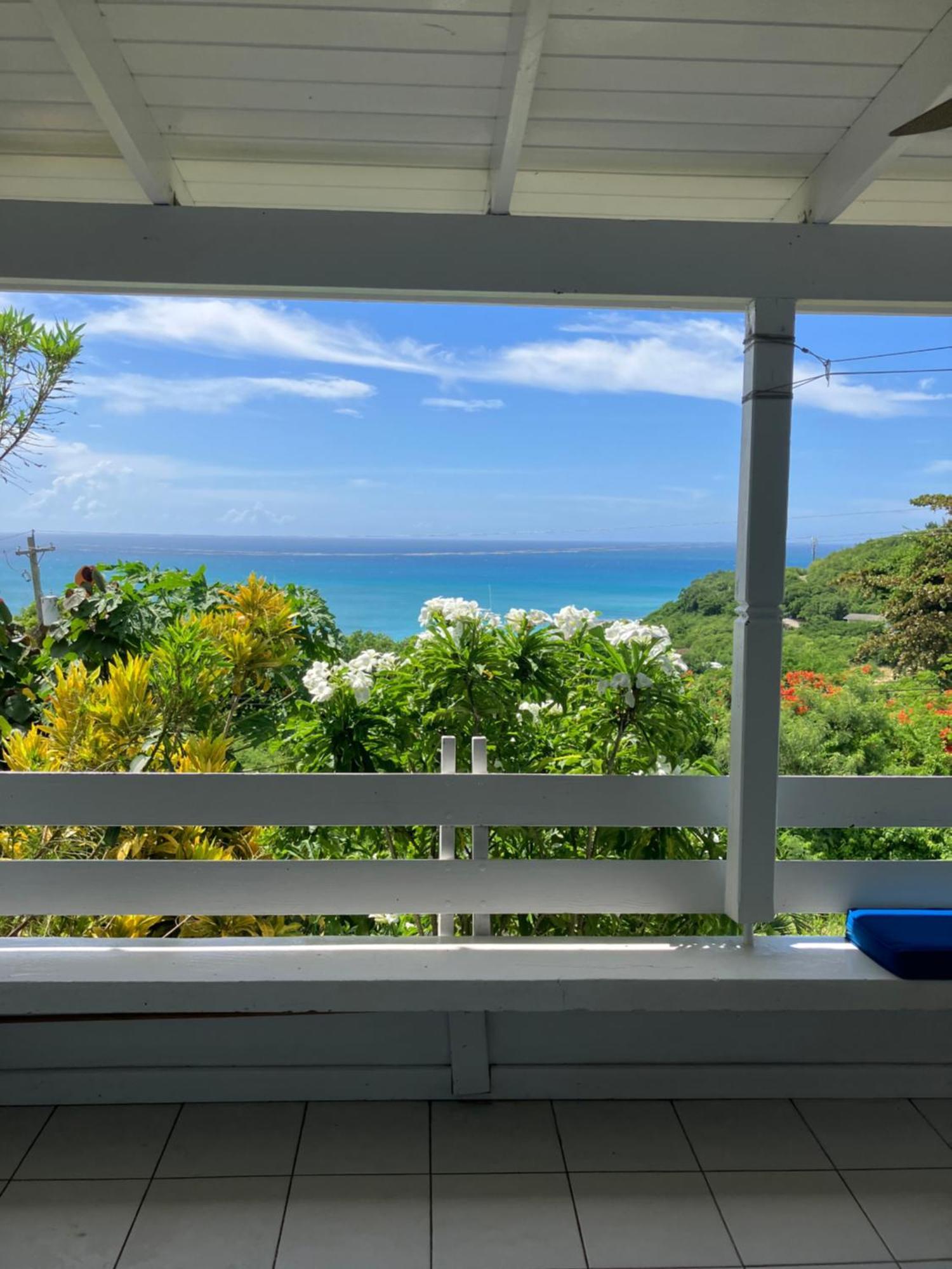Halcyon Heights Condominium Dickenson Bay Dış mekan fotoğraf